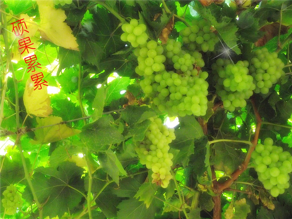 2010-0801 096_.jpg