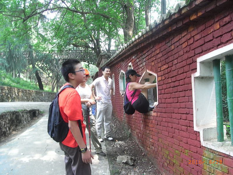 ar0019005.jpg