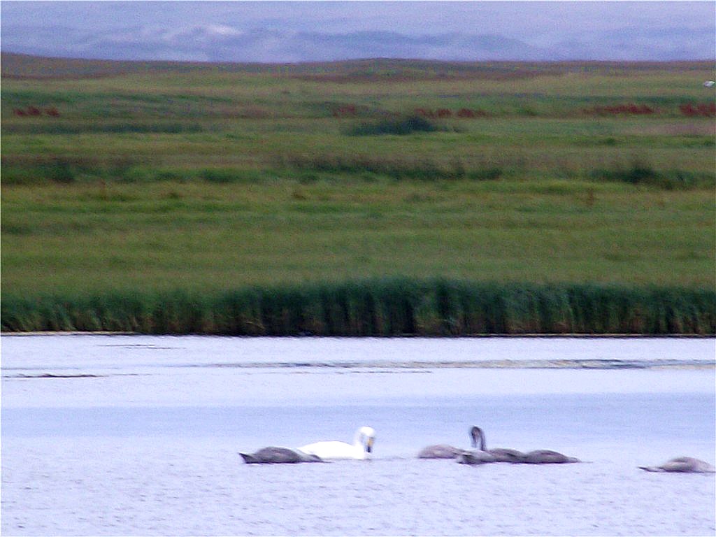 2010-0801 532__.jpg