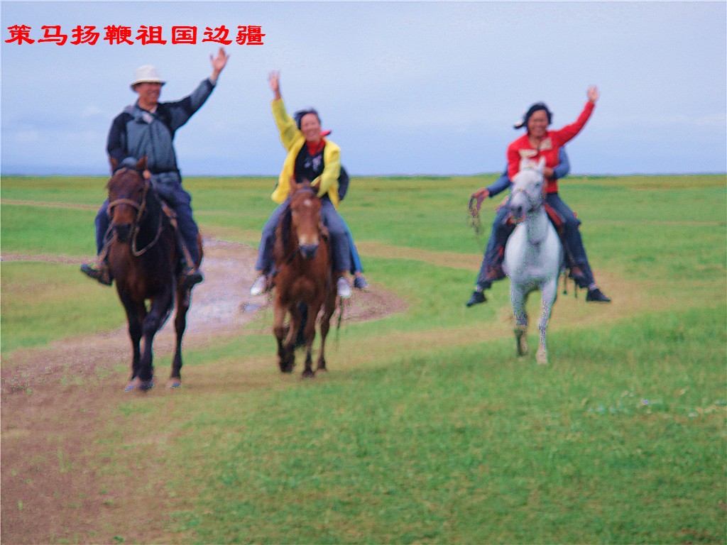 dsc00526_.jpg