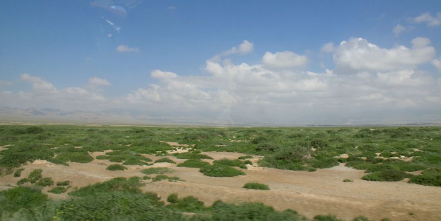 img_0803.jpg