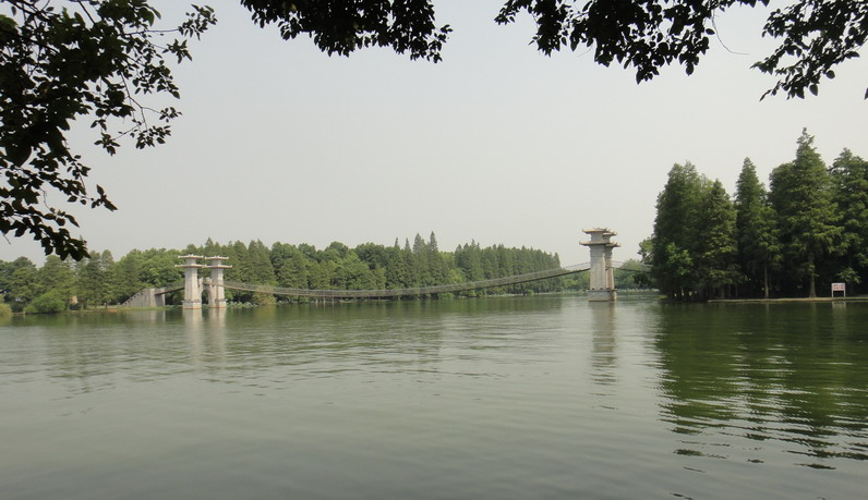 dsc01323.jpg