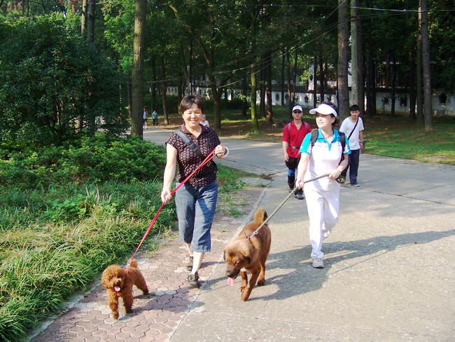 100_2096.jpg