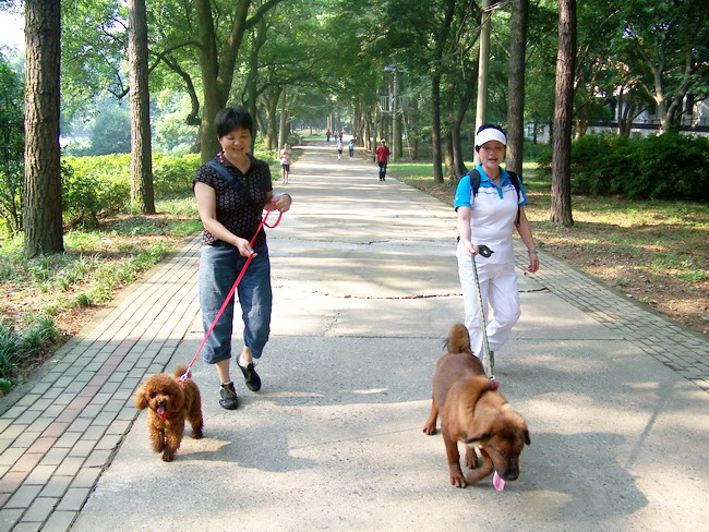 100_2092.jpg