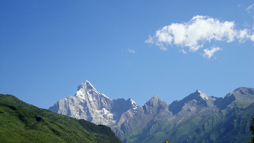 2010Ƭ 529.jpg