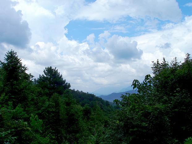 p8070249.jpg