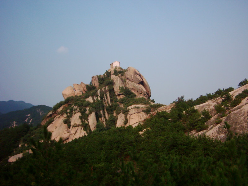 dsci0015.jpg