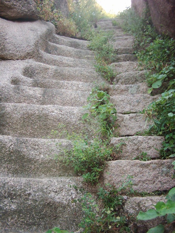 dsci0089.jpg