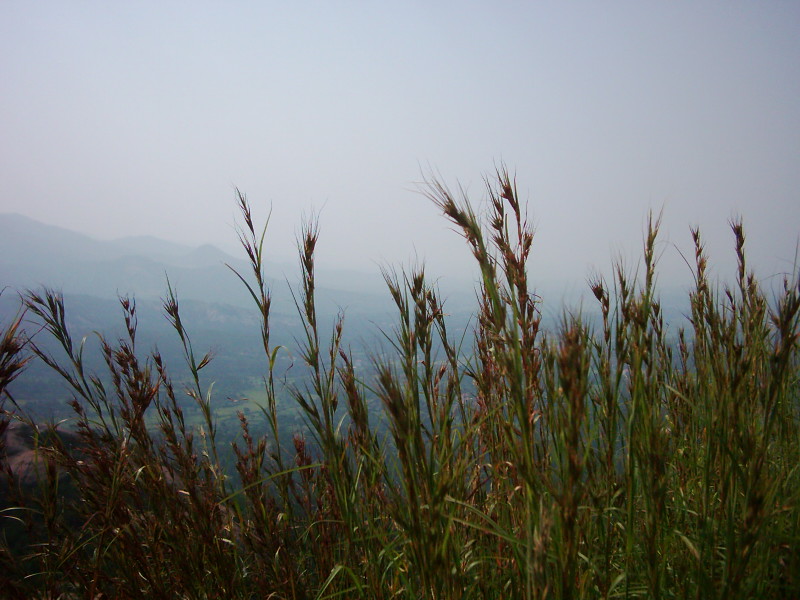 dsci0098.jpg
