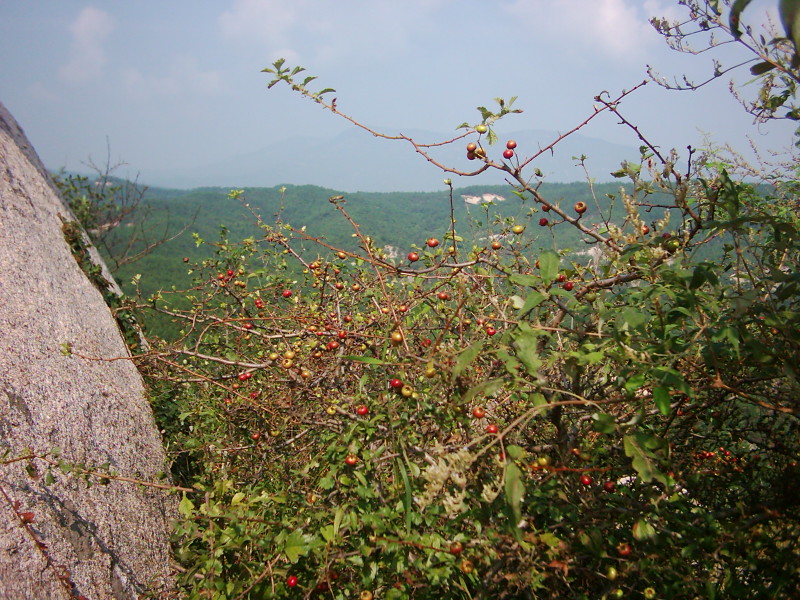 dsci0097.jpg