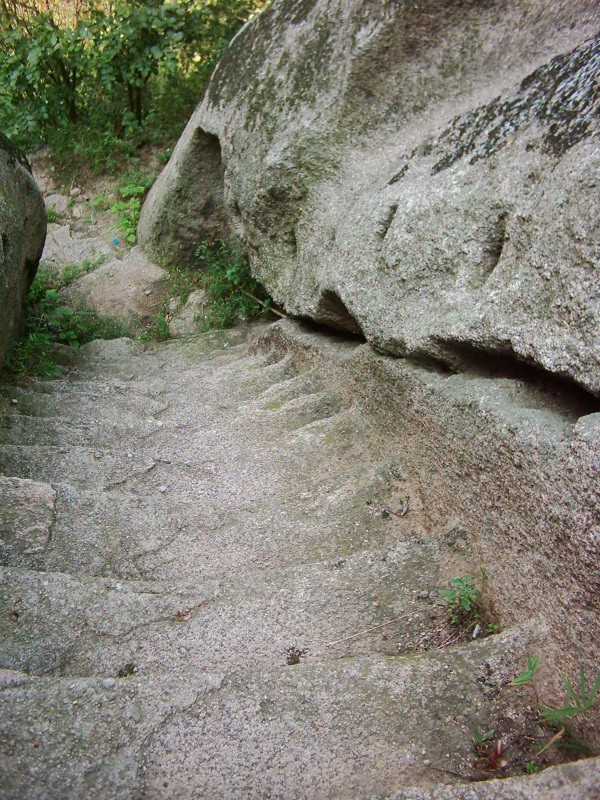dsci0126.jpg