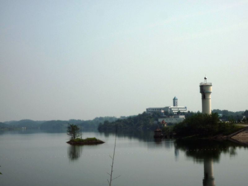p1040010.jpg