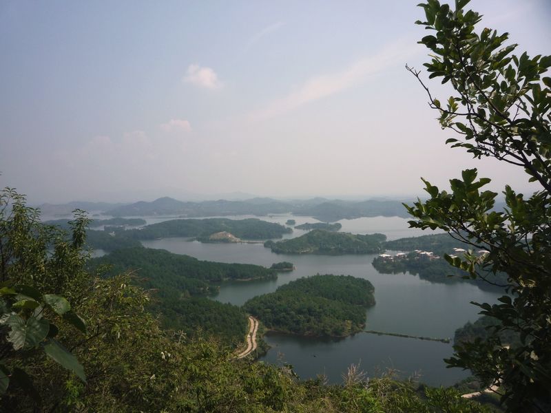 p1040010.jpg
