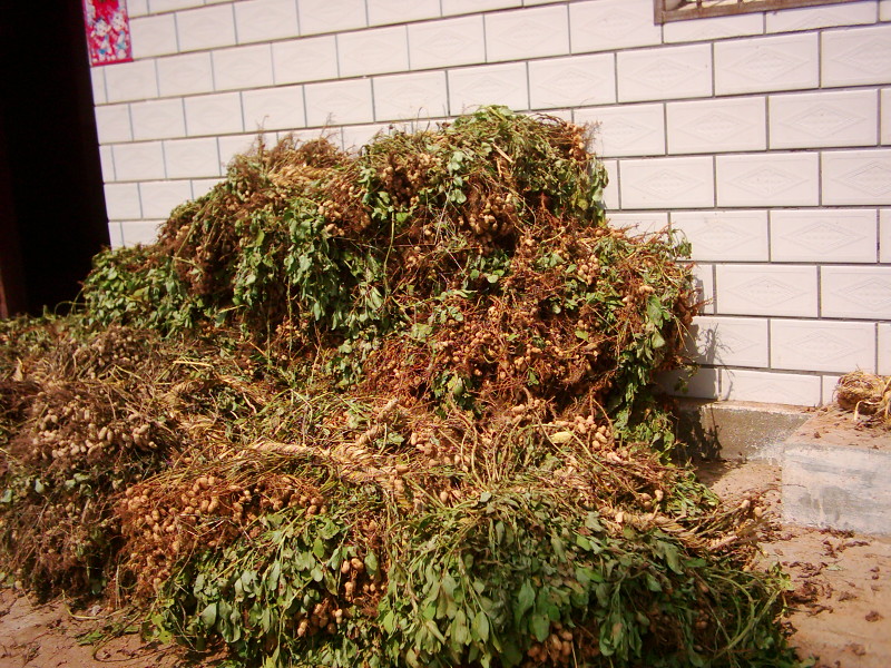 dsci0148.jpg