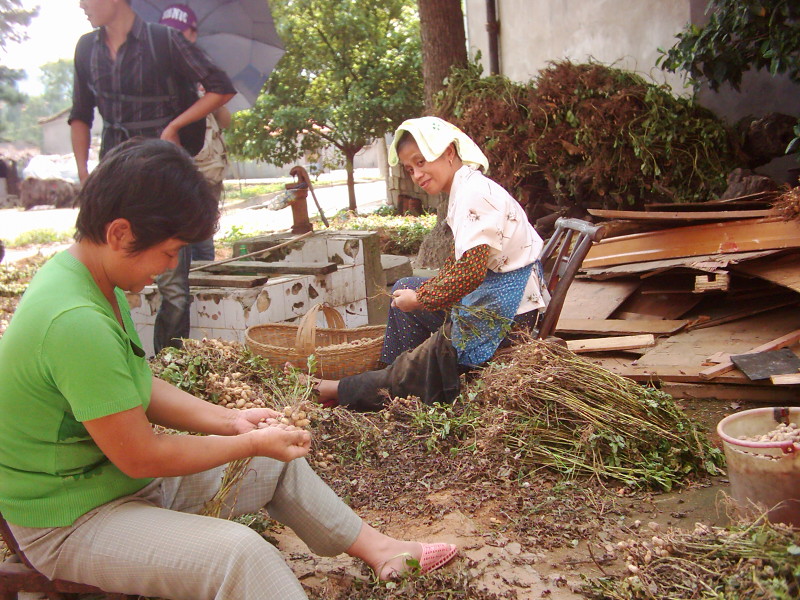 dsci0149.jpg