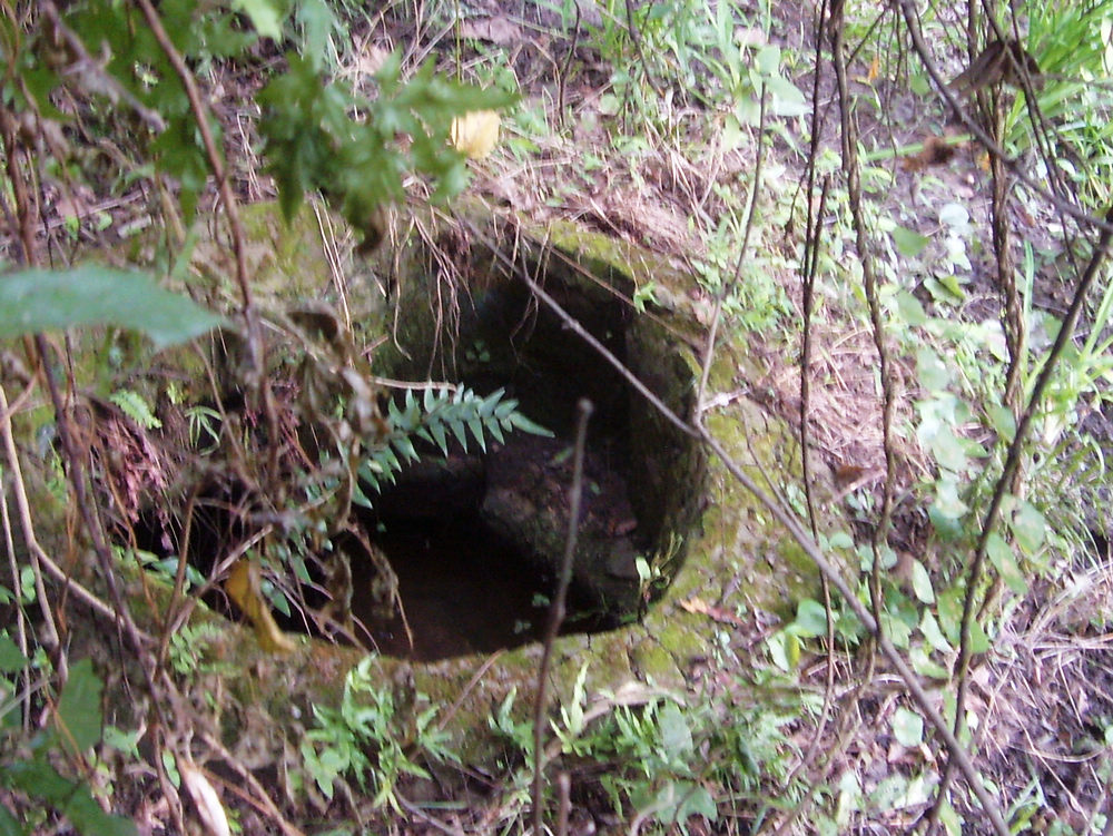 s73r0299.jpg