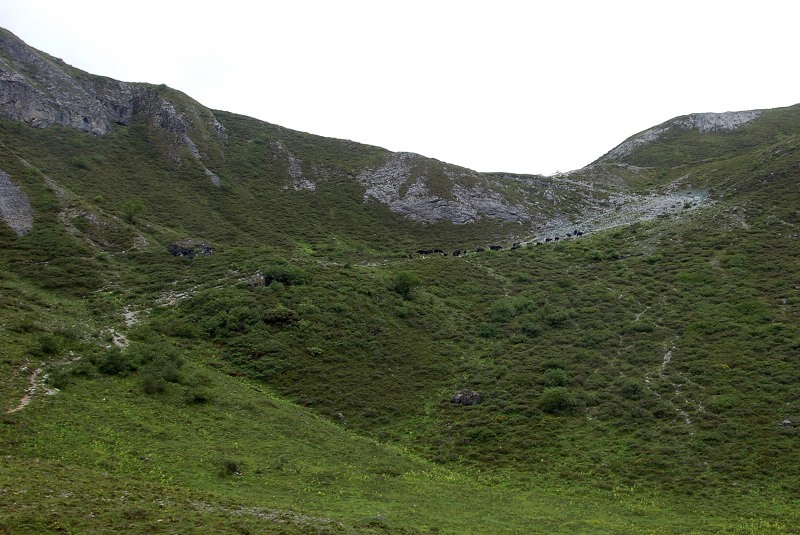 dsc_8821.jpg