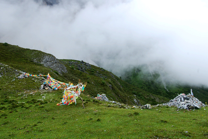 dsc_8825.jpg