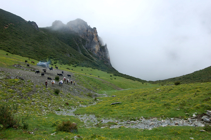 dsc_8830.jpg