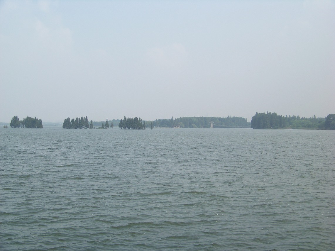 20100828Ⱥc㾰 (17).jpg
