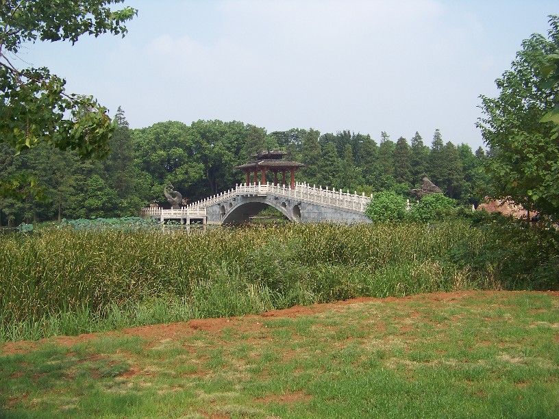 20100828Ⱥc㾰 (23).jpg