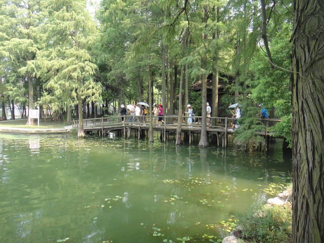 dsc01325.jpg