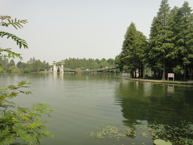 dsc01324.jpg