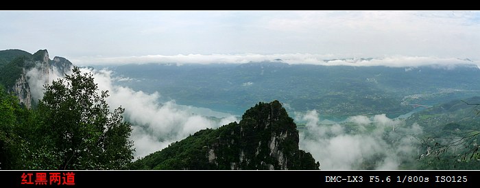 neo_img_yshk2.jpg