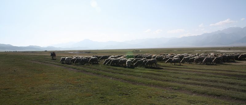 img_7145.jpg