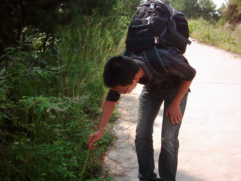 dsci0143.jpg