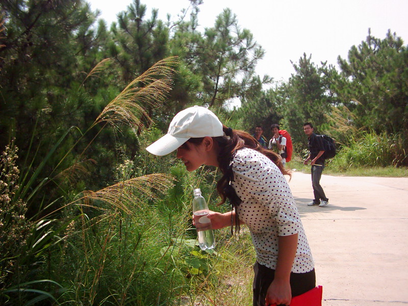dsci0145.jpg