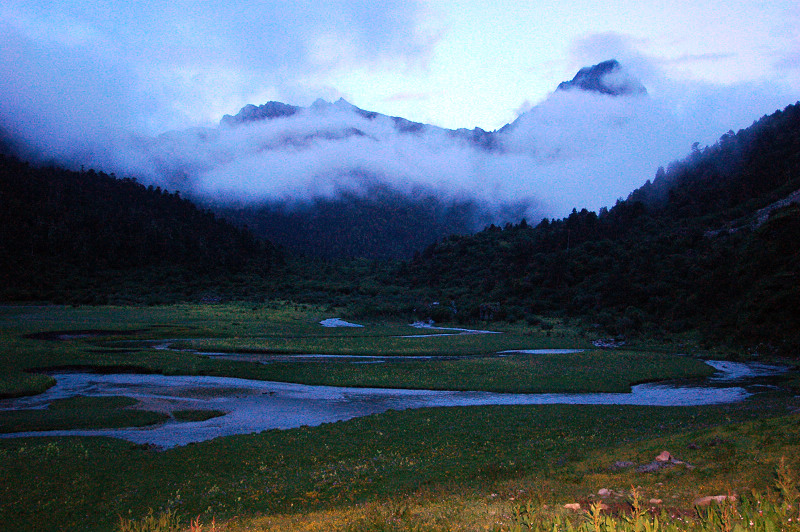 dsc_8838.jpg