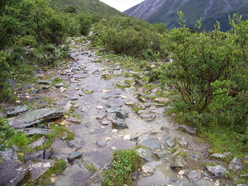 100_2202.jpg