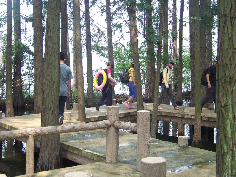 20100828Ⱥc㾰 (31).jpg