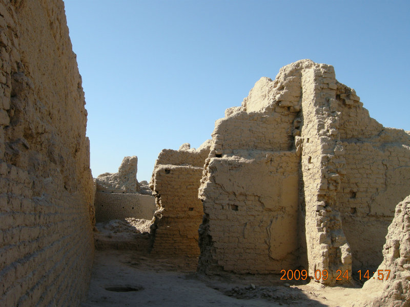 dscn4630.jpg