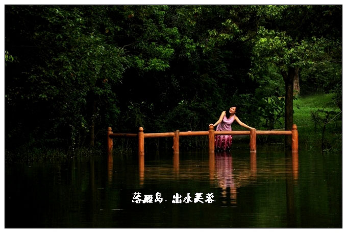 20108511563635277.jpg