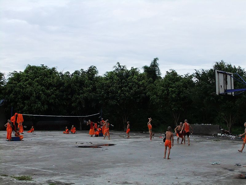dscf1774.jpg