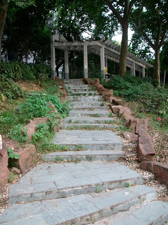 alim4082.jpg
