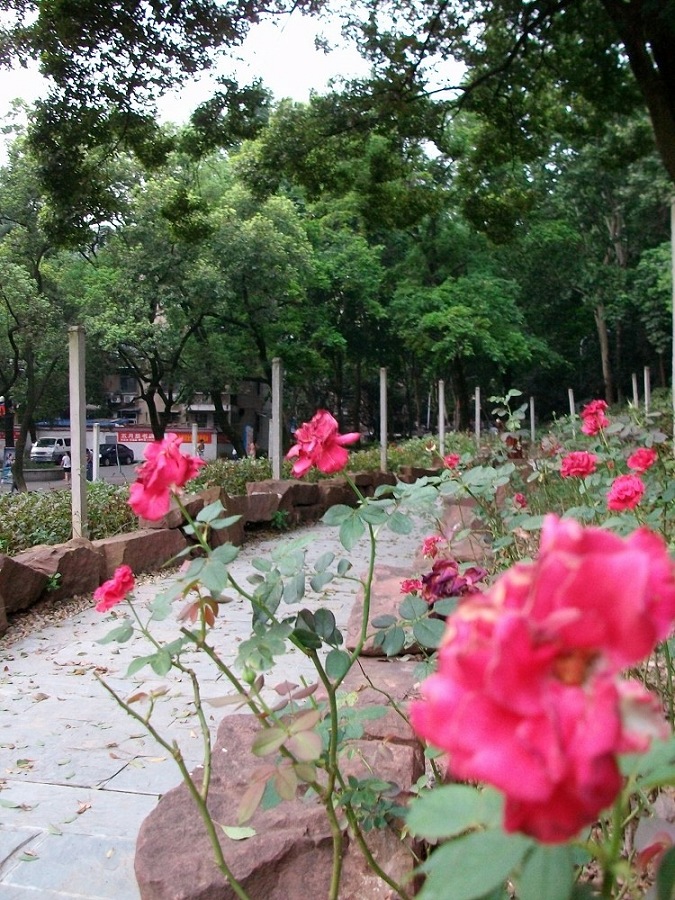 alim4083.jpg