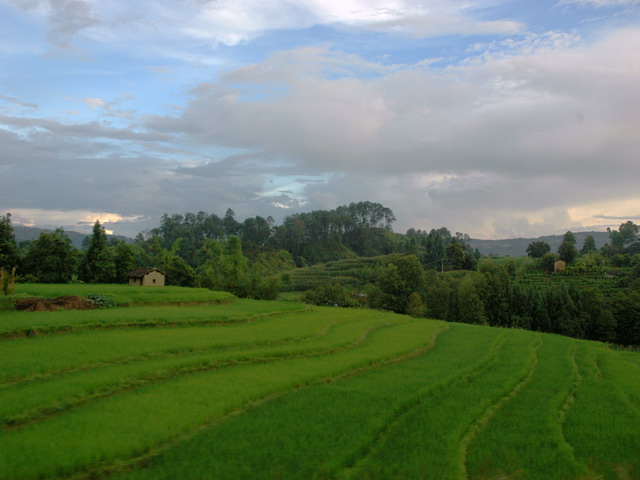 dsc_58071.jpg