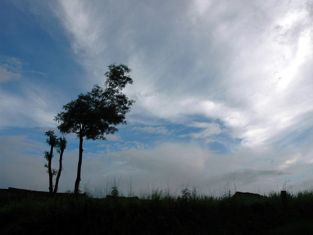 dsc_58091.jpg