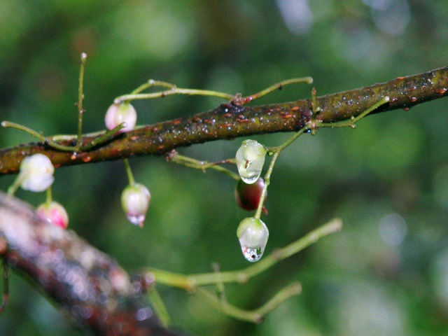dsc_58681.jpg