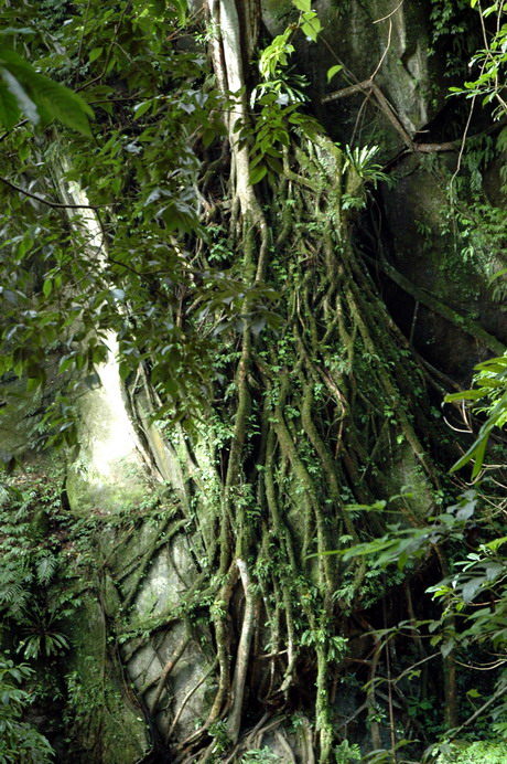 dsc_58911.jpg