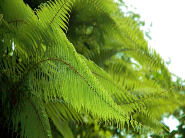dsc_59951.jpg