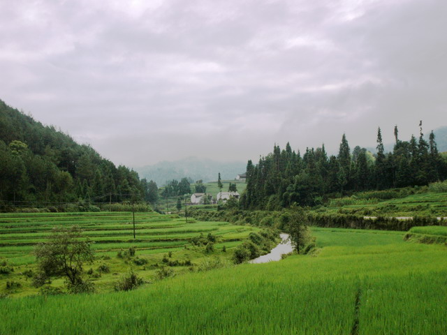 dsc_58421.jpg