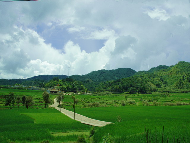 dsc_60241.jpg