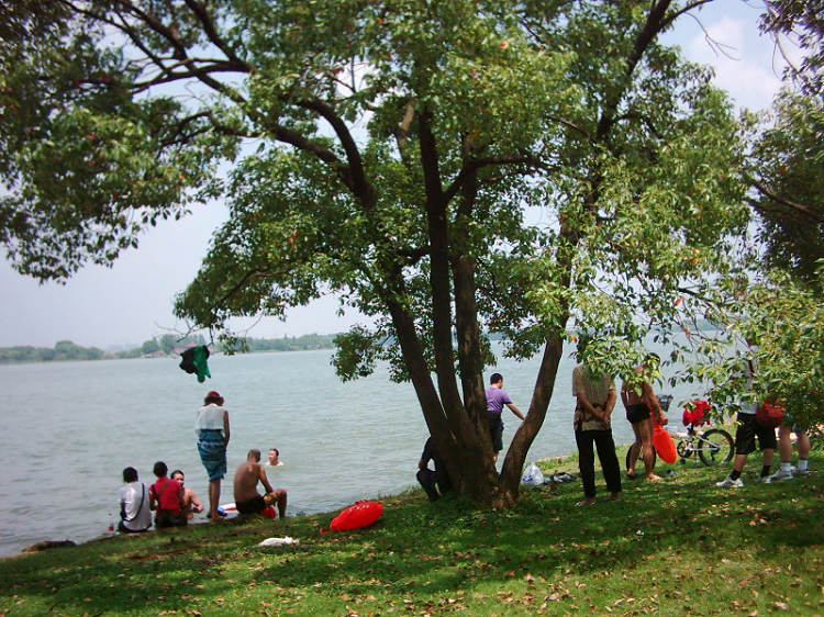 dsci0031.jpg