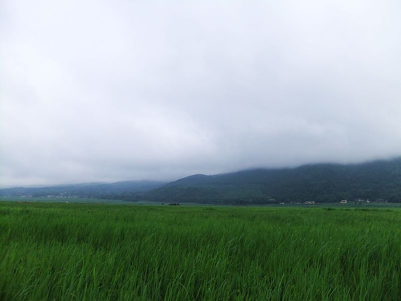 dscf1861.jpg