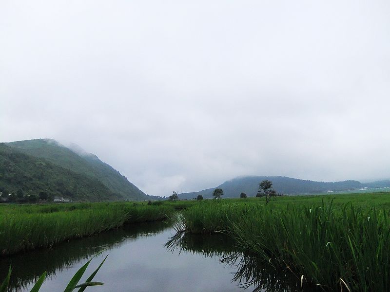 dscf1854.jpg