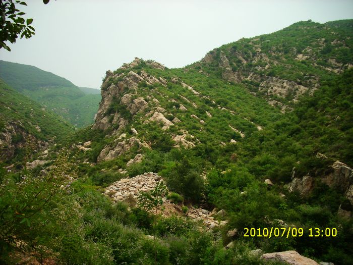 img_0191.jpg